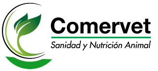 Dynamics Agro